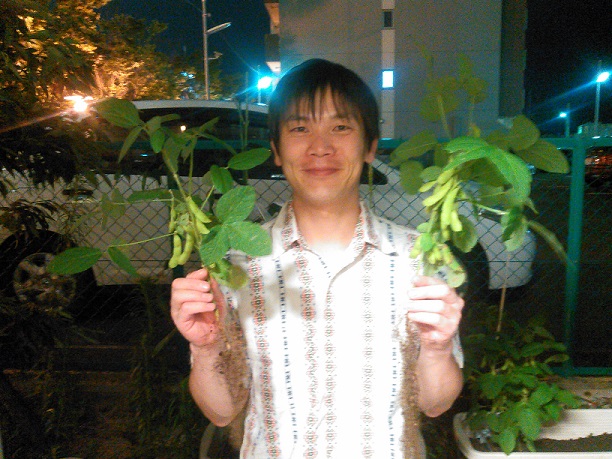 〈農枝豆〉収穫.jpg
